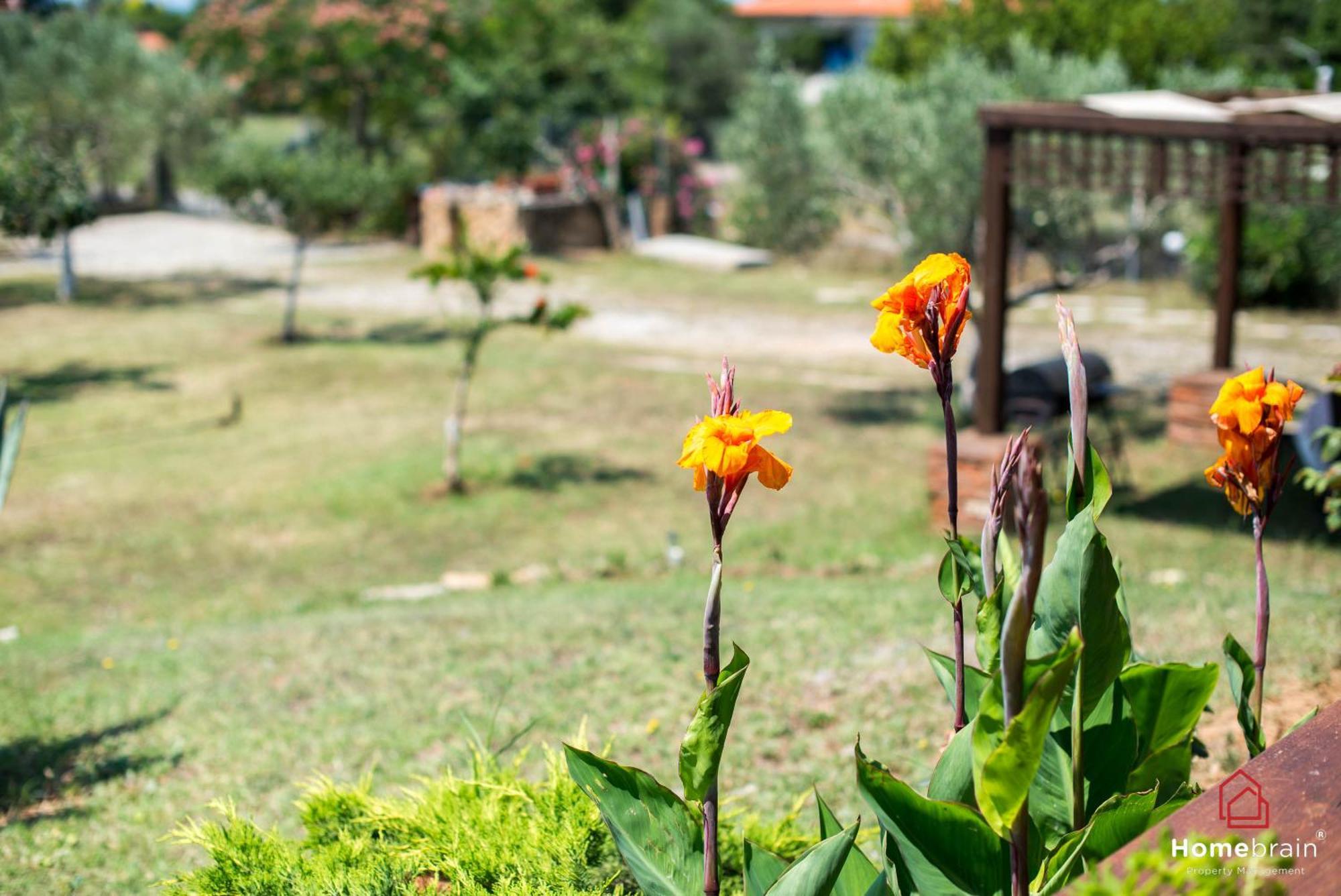 Villa Rossa Mesimvria  Esterno foto